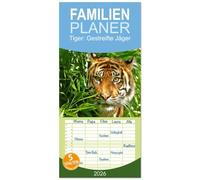 Familienplaner 2026 - Tiger: Gestreifte Jäger mit 5 Spalten (Wandkalender, 21 x 45 cm) CALVENDO: Tiger: die größte Katzenart der Erde lebt in Asien