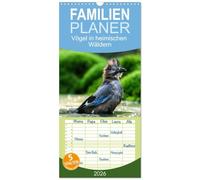 Familienplaner 2026 - Vögel in heimischen Wäldern mit 5 Spalten (Wandkalender, 21 x 45 cm) CALVENDO: In unseren heimischen Wäldern gibt es zahlreiche ... Vertreter hier fotografiert wurden..