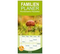 Familienplaner 2026 - Wundersame Pilzwelten mit 5 Spalten (Wandkalender, 21 x 45 cm) CALVENDO: Die besondere Welt der Pilze erleben.