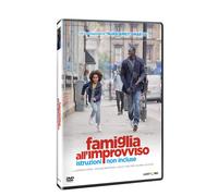 Famille À L'Improvise - Instructions Non Incluses DVD LUCKY RED