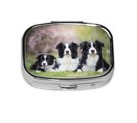 Famille Border Collie, pilulier Meta à 2 compartiments, organiseur portable