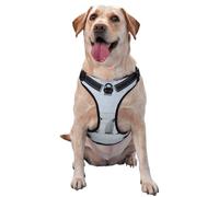 Famille de Pingouins,Harnais pour Animaux de Compagnie, Harnais réfléchissant réglable pour Chien,XL