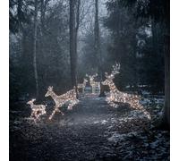 Famille de Rennes de Noël Harlow en Rotin à LED Bicolore
