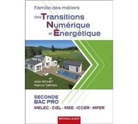 FAMILLE DES METIERS DES TNE 2de BAC PRO MELEC-CIEL-ICCER-MFER Alain Richet (Auteur), Patrick Tirfoin (Auteur)