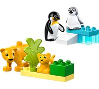LEGO DUPLO Ma ville 10442 Familles d’animaux sauvages : pingouins et lions - Jeux d'éveil