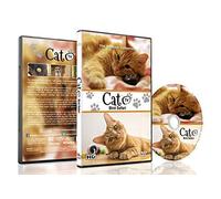Family Pet DVD - Cat TV - Entertain your Pets with Stimulating Images of Cute Little Animals with Natural Sounds