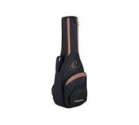 Family Series R121SN-L guitare classique pour gaucher avec manche fin (+ housse)