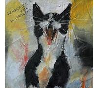 Famous Enough - Searching for A Limousine