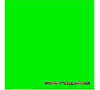 FAMOUS - PARTY ALBUM VINYL LP NEUF