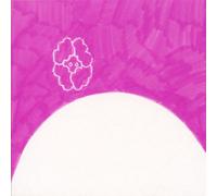 Fan Club Orchestra - Sun Papa & The Fan Club [Import]