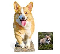 Fan Pack - Royal Corgi Chien Lifesized Mini Silhouette en Carton/Standup/Carton - Comprend 8 x 10 Photo étoile