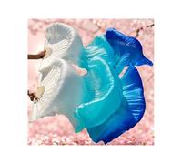 Fan Veil Soie,Voile De Danse Orientale 1 paire de voiles danse du ventre en soie véritable, taille classique, éventail bambou, accessoires spectacle for danseuse(Color 1,XL-230x90cmReal Silk)