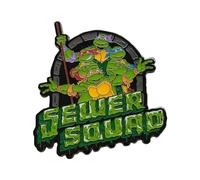 Fanattik Pin's Édition limitée 40e anniversaire, Vert, Métal, Pin brooch, Multicolore, Rétro, Cowabunga mec!