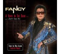 Fancy - A Voice in the Dark-2008