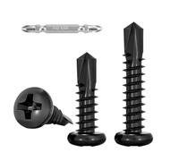 FandWay Lot de 100 vis autotaraudeuses pour métal, M4,2 x 19 mm pour acier, tête bombée Tek, acier inoxydable 410 revêtement noir avec 1 embout et boîte solide