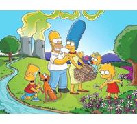 FANGMKJ Kit de Peinture Diamant 5D,The Simpsons,Diamond Painting,Broderie Diamant,Peinture par numéro Painting Diamond Complet Kits De Broderie En Diamant Rond Complet-19.7x27.6inch