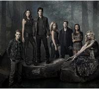 FANGMKJ Kit de Peinture Diamant 5D,The Vampire Diaries,Diamond Painting,Broderie Diamant,Peinture par numéro Painting Diamond Complet Kits De Broderie En Diamant Rond Complet-11.8x15.7inch