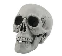 Fangoo Crâne d'halloween Décoration Tête de Crâne en Plastique Squelette Modèle 1: 1 réplique tête Humaine Halloween Party réaliste crâne Prop cimetière Outdoor Kinky Decor, Gris, 20 x 15 cm
