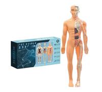 Fangssiy Modèle d'Anatomie Humaine 3D | Structure Anatomique Corps Humain,Outil Pédagogique pour 6+ Étudiants Adultes Éducateurs Scientifiques Apprenants Maison École Art Studio
