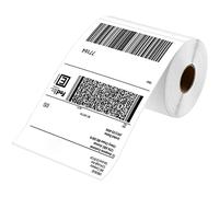 Fangtech Lot de 250 étiquettes d'expédition thermiques directes 10,2 x 15,2 cm (rouleau de 20 rouleaux) adhésives permanentes, compatibles Zebra 2844 ZP-450 ZP-500 ZP-505 (total de 20 rouleaux)