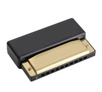 Fangxuee Harmonica Blues 10 Trous Clé C Puzzle Éducatif pour Enfants Instrument de Musique Jouet Éducatif Doré