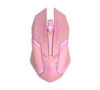 Fangxuee Paming Mouse Wireless 2.4g Computer Souris Ordinateur Portable USB Mute Rechargable Mute MAISE Mute SOURIE SOURESS WIRESS