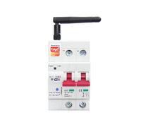 Fangxuee Smart DC Circuit Breaker 2P Contrôle D'Application Circuit WiFi Breaker 63A DC100100V Interrupteur D'Air de Protection Court-Circuit