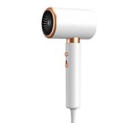 Fangxuee Température Constante Du Flux D'Air Électrique à Grande Vitesse et Séchage Adapté à la Bougie de L'UE Utilisation à Domicile