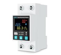Fangxuee ZigBee TUYA Smart Life 2P/63A Disjoncteur Fuite à la Terre Protection Contre les Sous-Tension Relais Compteur D'Énergie
