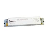 FANNIXI Ballast électronique Ballast électronique RS-P236B T8 220 V 2 x 36 W for 2 Lampes Blanches, Paquet de 2