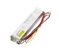 FANNIXI Ballast électronique Lampe 80W-100W 120W, Ballast électronique dédié au Traitement de l'eau RL1-800-100