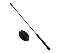 FanPaYY Antenne de voiture 41 cm Raku 2 amplificateur Radio antenne Radio de toit pour Transit Mondeo Fiesta KA Kuga Focus C-MAX