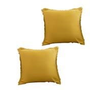 FANSHINUO Housse de coussin à franges en velours avec pompons pour canapé, chambre à coucher, 45,7 x 45,7 cm