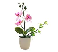 FANSHINUO Orchidée bonsaï artificielle réaliste avec pétales imprimés pour décoration de bureau à domicile
