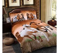 FANSU Housse de Couettes Parure de Lit 2 Personnes, 3 Pièces Microfibre Trois Chevaux Ensemble de Literie avec 1 Housses de Couettes 2 Taies d'oreillers (220x240cm)