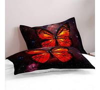 FANSU Lot de 2 Taies d'oreiller 50x75cm Microfibre Doux Confortable Protège Oreiller avec Fermeture à Enveloppe, Housse d'oreiller Antirides et Antitaches Modèle 3D (interstellaire)