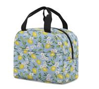 FANSU Sac Isotherme Repas pour Homme Femme,Sac Isotherme Repas Enfant,Lunch Bag Fruits Colorés avec Feuille d'Aluminium Isolée,Lunch Bag Pliable pour Bureau,Pique,Voyage (Citron,23x13x21cm)