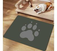 FANSU Tapis Gamelle Chat Diatomite Séchage Rapide Antidérapant, Tapis pour Gamelle Chien Absorbant Antidérapant Rectangulaire, Chien Accessoires Lavable pour Bols à Nourriture (Vert,20x30cm)