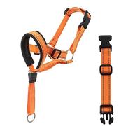 FANSWAN Muselière pour chien allemand avec sangle en nylon réfléchissant et sangle en nylon pour grandes races