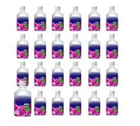 Fanta Grape Lot de 24 bouteilles en aluminium de 300 ml, limonade exotique du Japon, légère, rafraîchissante et parfaite pour les déplacements