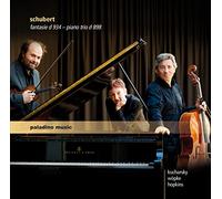Fantaisie d934/Trio pour Piano d898 [Import]