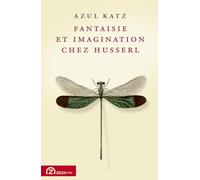 Fantaisie et imagination chez Husserl
