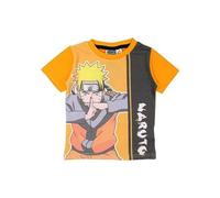 Fantaisie Naruto - T-Shirt à Manches Courtes Naruto Shippuden (FR/ES, Âge, 4 Ans, Taille Normale, Short Sleeve T-Shirt - P)