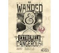 Fantastic Beasts - 40x50 cm - AFFICHE / POSTER G