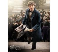 Fantastic Beasts - 40x50 cm - AFFICHE / POSTER G