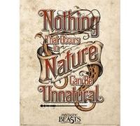 Fantastic Beasts - 40x50 cm - AFFICHE / POSTER G