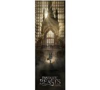 Fantastic Beasts - 53x158 cm - AFFICHE / POSTER G