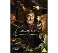 Fantastic Beasts: A Natural History – DVD – Importation (2022)