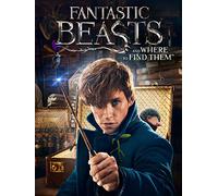 Fantastic Beasts And Where To Find Them – W & B