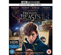 Les Animaux Fantastiques : Où les trouver – Alison Sudol, Carmen Ejogo – Blu-ray 4K Ultra HD – 2016